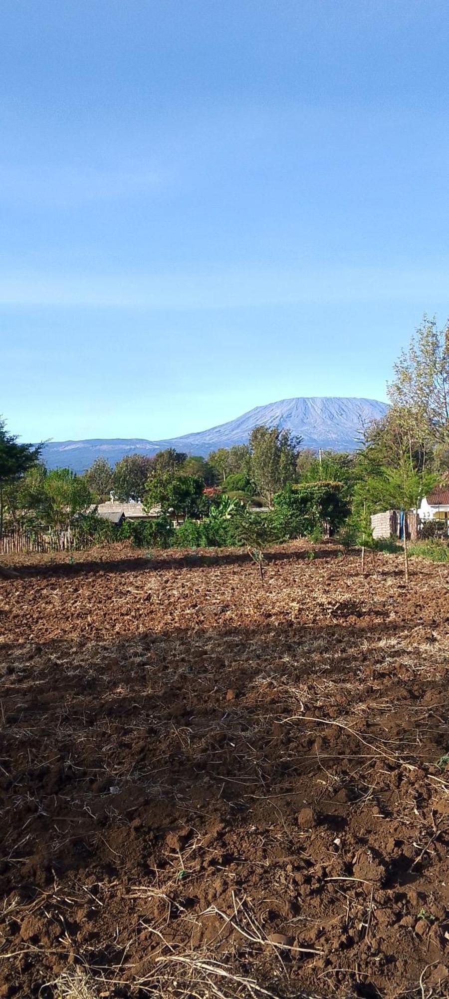 Greenfield -full Board Homestay